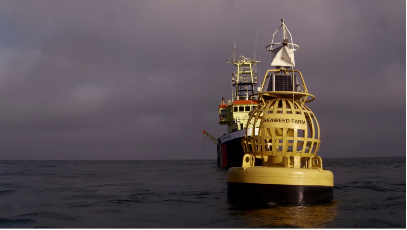 Offshore operations near the test site